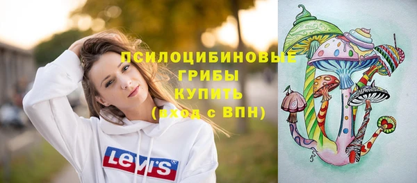 эйфоретик Алзамай