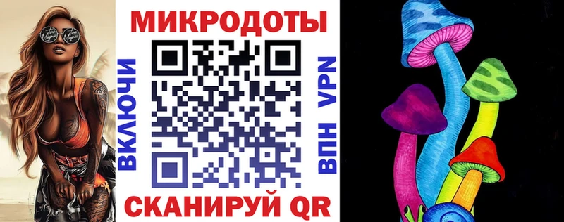 Псилоцибиновые грибы Cubensis  Бокситогорск 